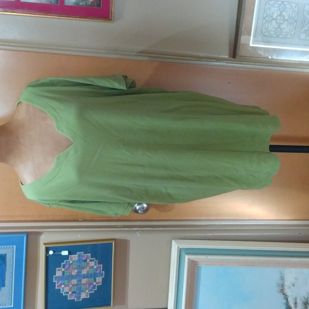 Romans t-shirt 1X longer style.